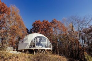 b4181d4c-f1e5-4bdc-a8f3-cf3985c9909f